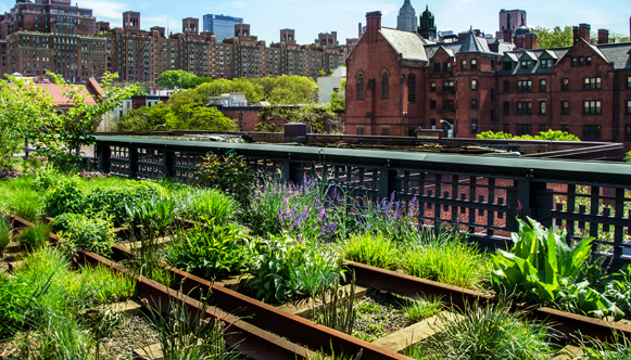 Outdoor plants near buildings