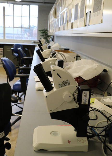 The Anthropological Sciences Lab microscopy room