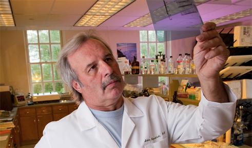 John J. Kopchick, portrait in his lab