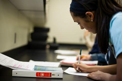 Student studying