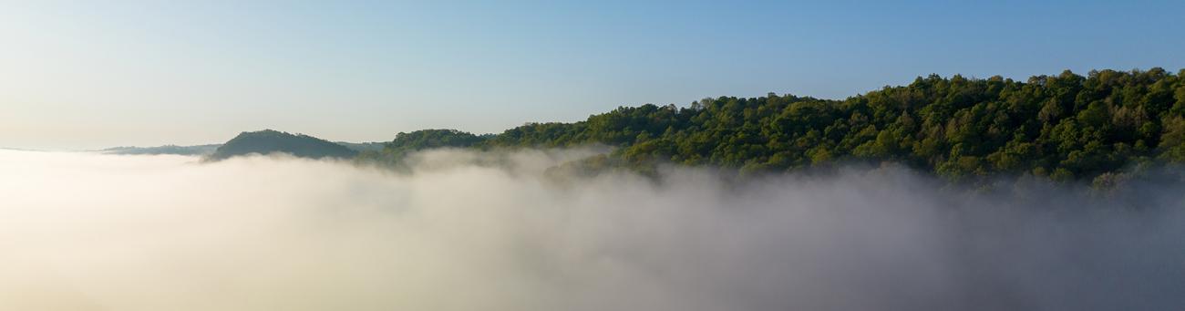 An aerial view of a foggy, blue sky and trees.