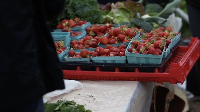 Fresh strawberries