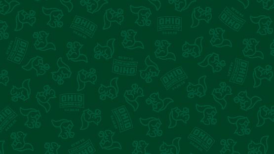 A designed pattern background with line squirrel graphics and the OHIO Giving Day logo.