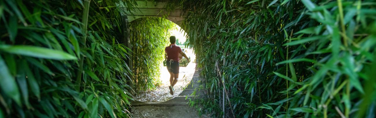 A student passes through the farm on campus